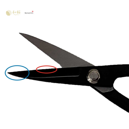 Wazakura (Japan) Twig Bonsai Scissor