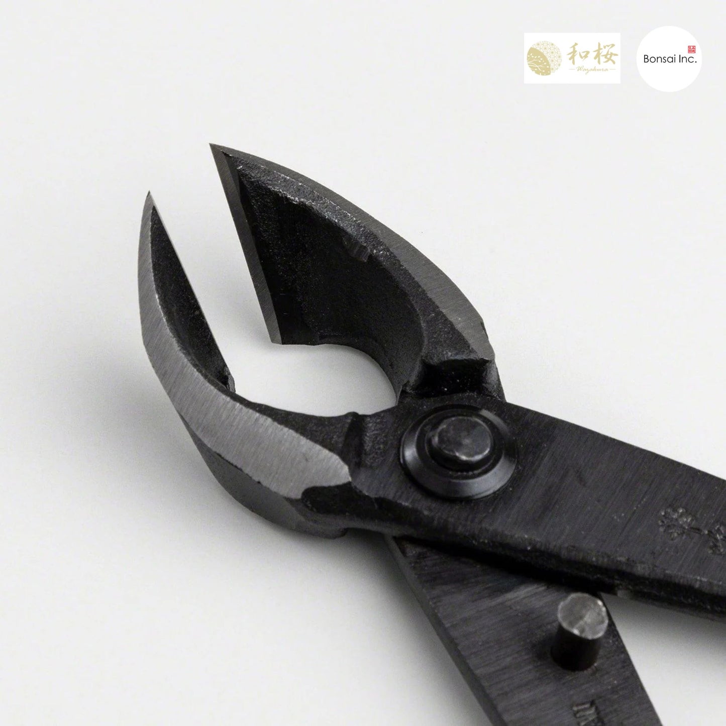 Wazakura (Japan) Hand Forged Bonsai Concave Branch Cutter 8"(200mm)