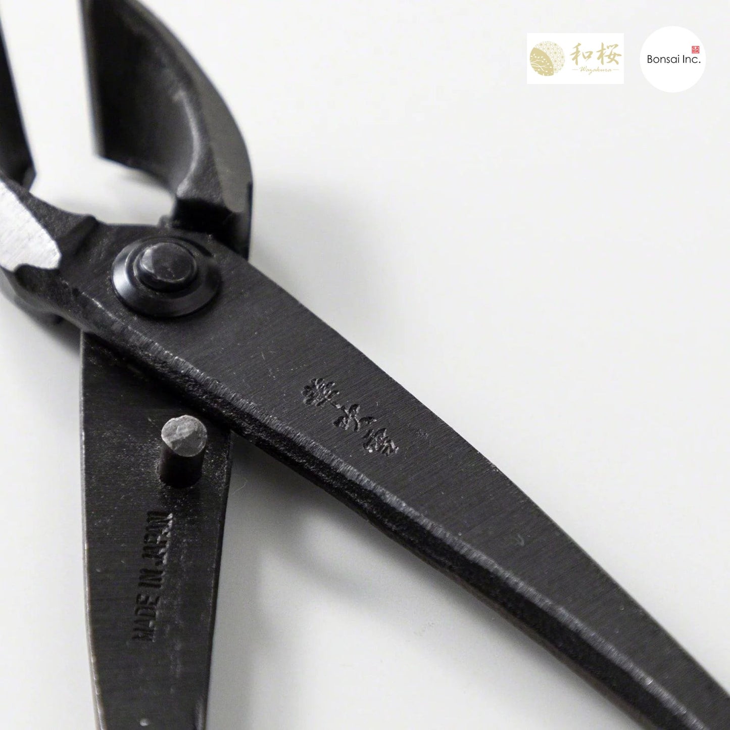Wazakura (Japan) Hand Forged Bonsai Concave Branch Cutter 8"(200mm)