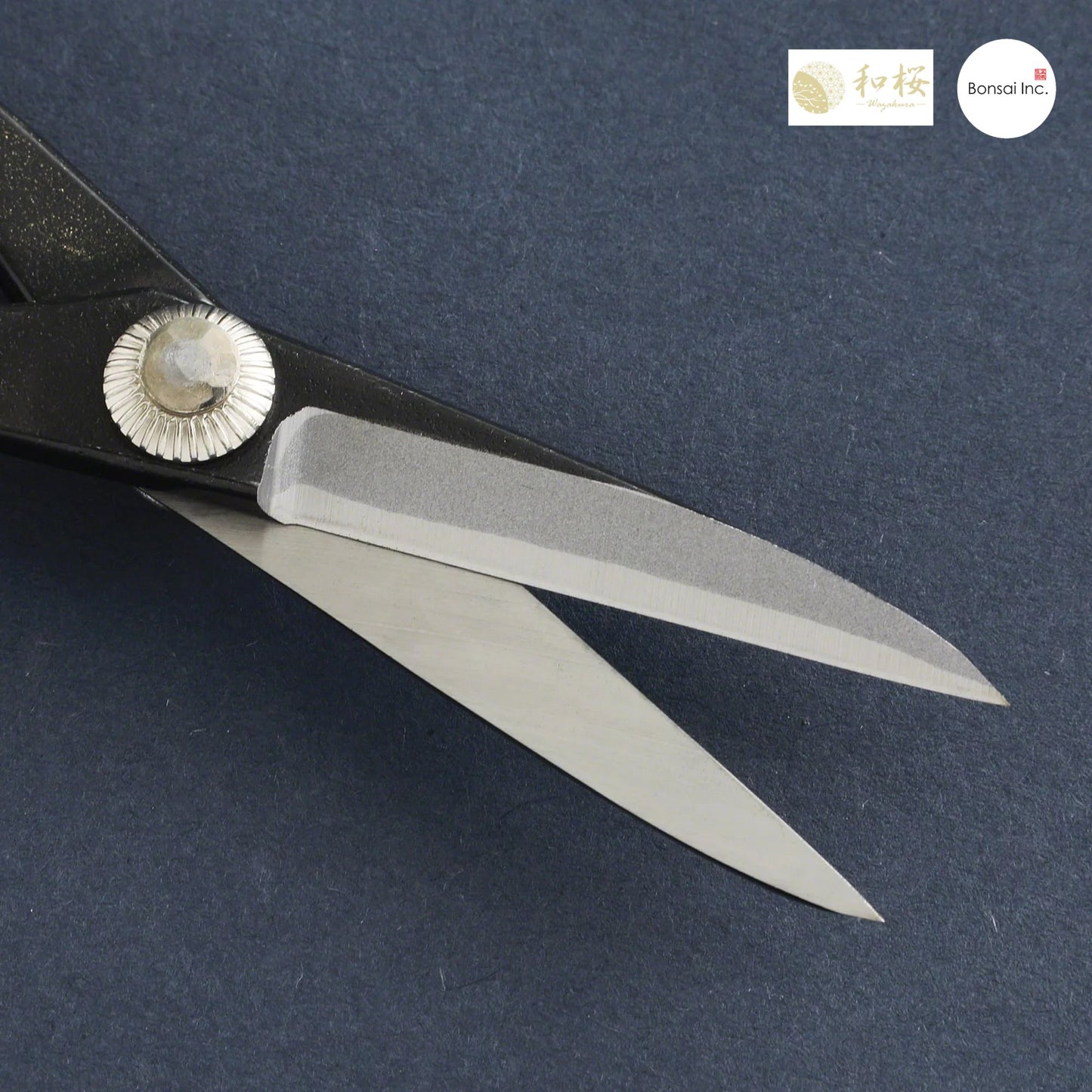 Wazakura (Japan) Satsuki Bonsai Scissors 7"(180mm)