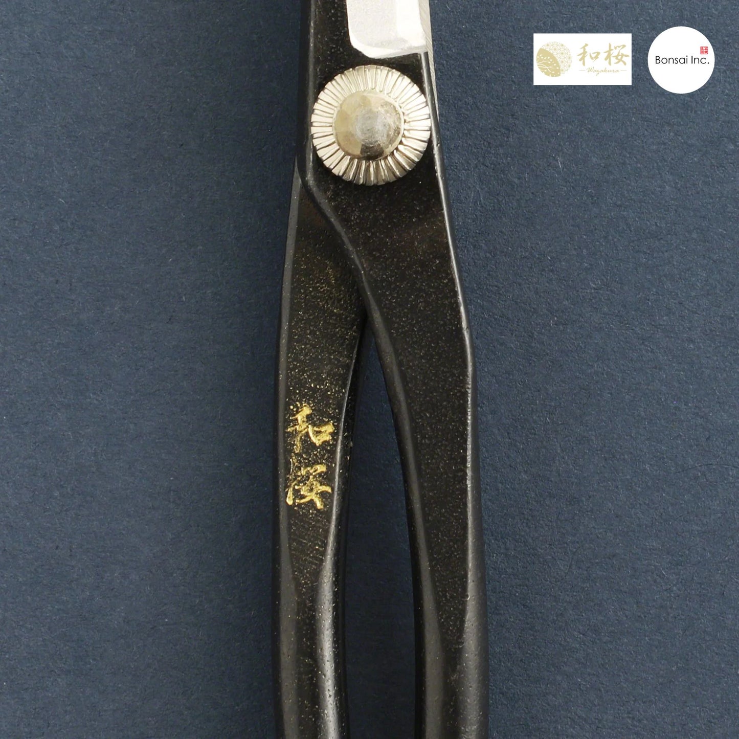 Wazakura (Japan) Satsuki Bonsai Scissors 7"(180mm)