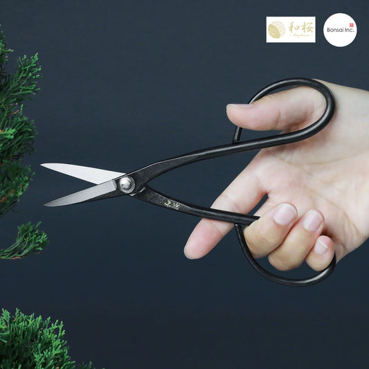 Wazakura (Japan) Satsuki Bonsai Scissors 7"(180mm)
