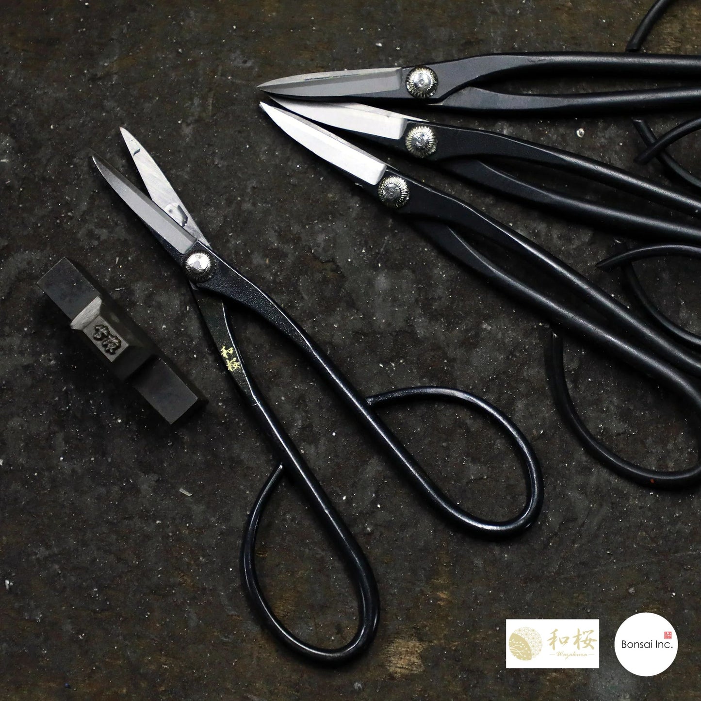 Wazakura (Japan) Satsuki Bonsai Scissors 7"(180mm)