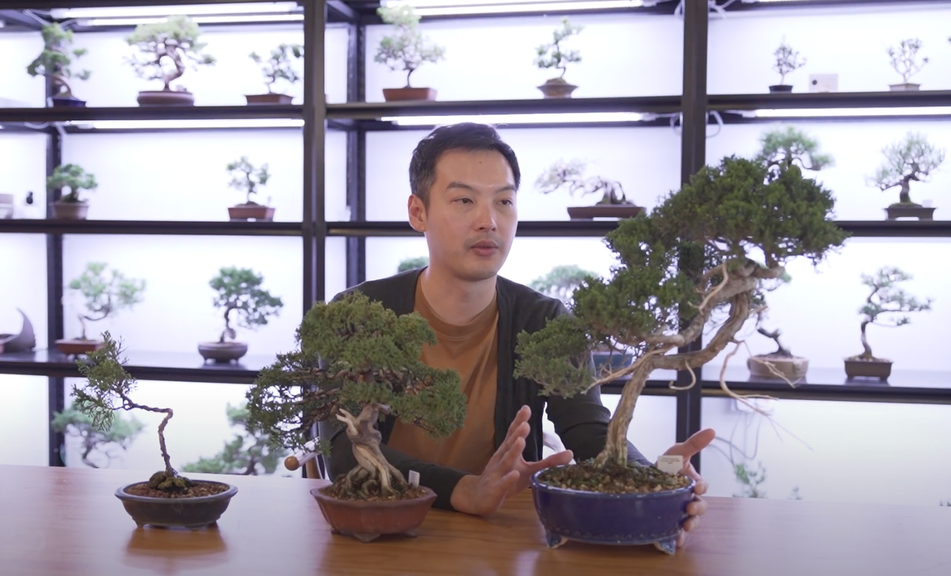 Load video: Learn about Bonsai Inc&#39;s story, our products and services and how to start your bonsai journey with us