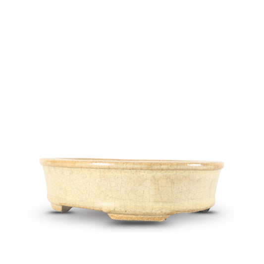 Premium Oval Bonsai Pot