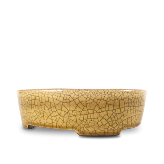 Premium Oval Bonsai Pot