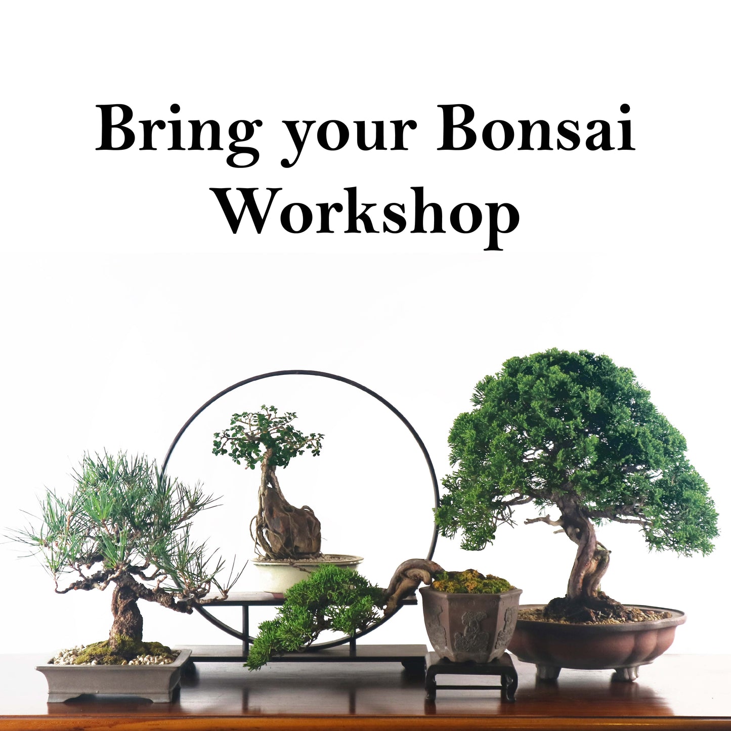 Workshop Gift Card