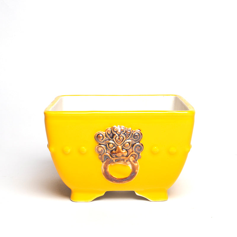 Square Pots with Lion Head Door Knocker