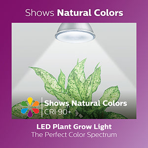 Philips LED 532969 PAR38 Plant Grow Light Bulb