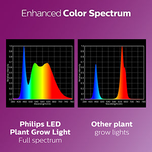 Philips LED 532969 PAR38 Plant Grow Light Bulb