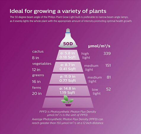Philips LED 532969 PAR38 Plant Grow Light Bulb