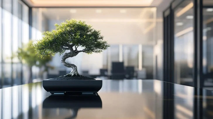 Best Bonsai for Home & Office in Singapore: A Buyer’s Guide