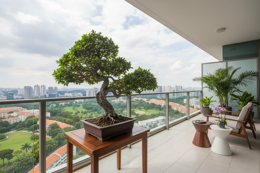 Top 7 Bonsai Mistakes Beginners Make in Singapore
