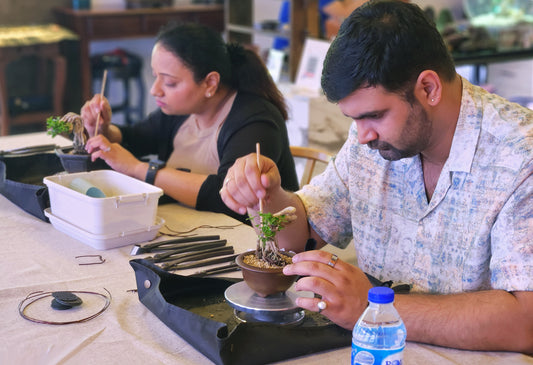 Bonsai Workshop for 2