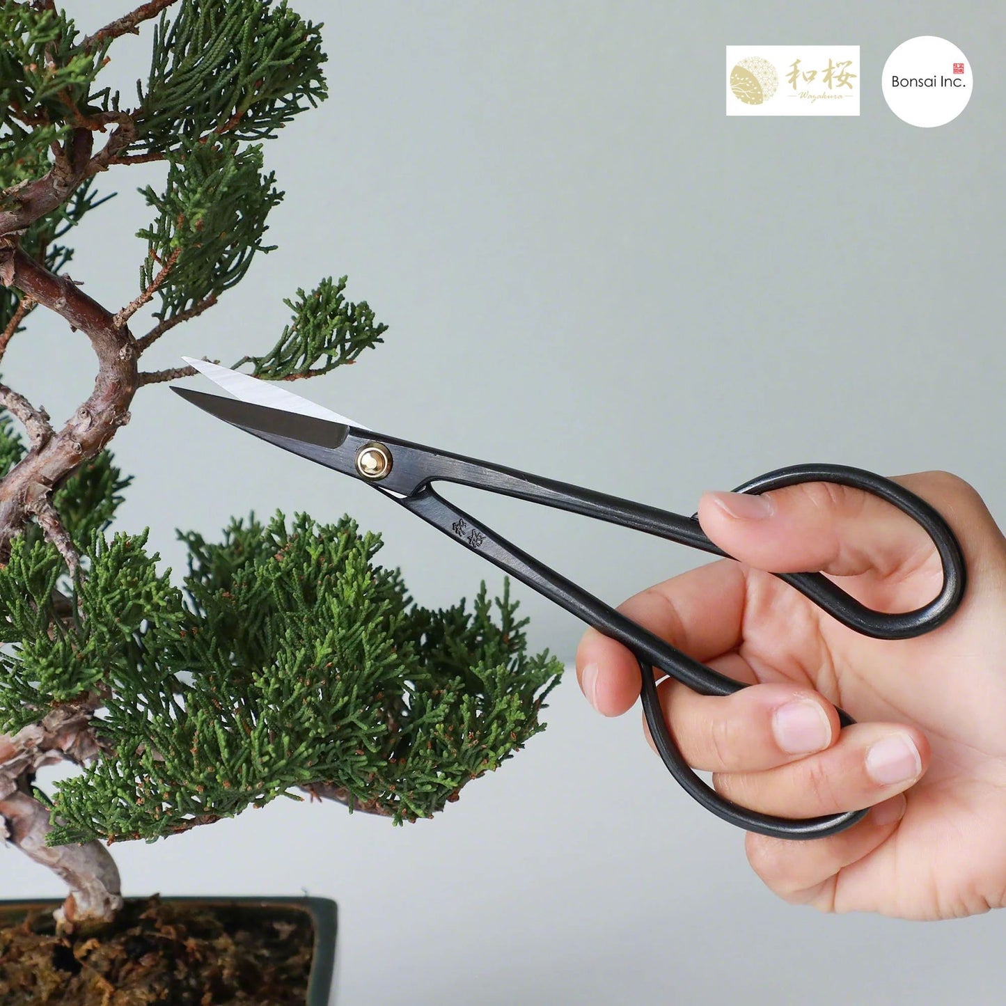 Wazakura (Japan) 3pcs Bonsai Garden Tool Starter Kit