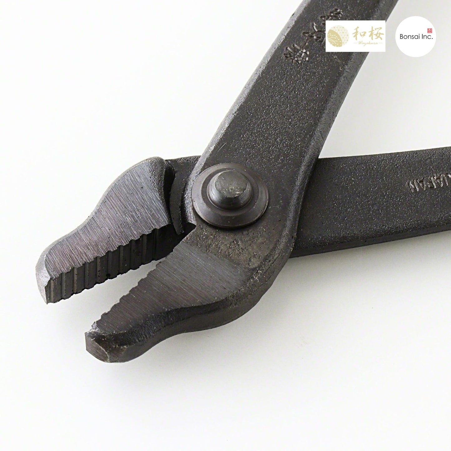 Wazakura (Japan) Hand Forged Bonsai Wire and Jin Pliers 8.25"(210mm)