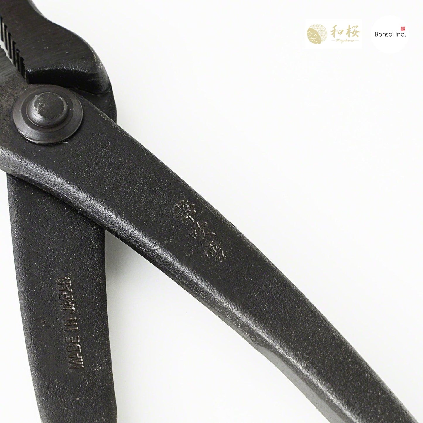 Wazakura (Japan) Hand Forged Bonsai Wire and Jin Pliers 8.25"(210mm)
