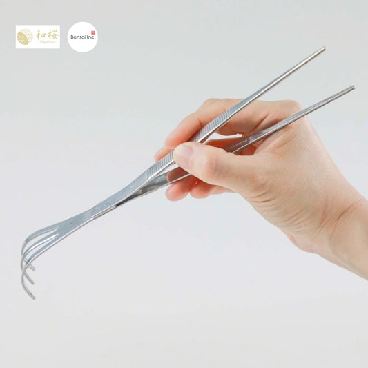 Wazakura (Japan) Bonsai Curved Tip Tweezer with Rake 8.6"(220mm)