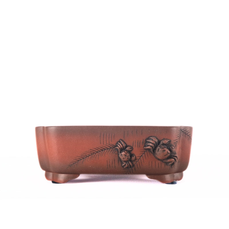 Premium Rectangle Bonsai Pot