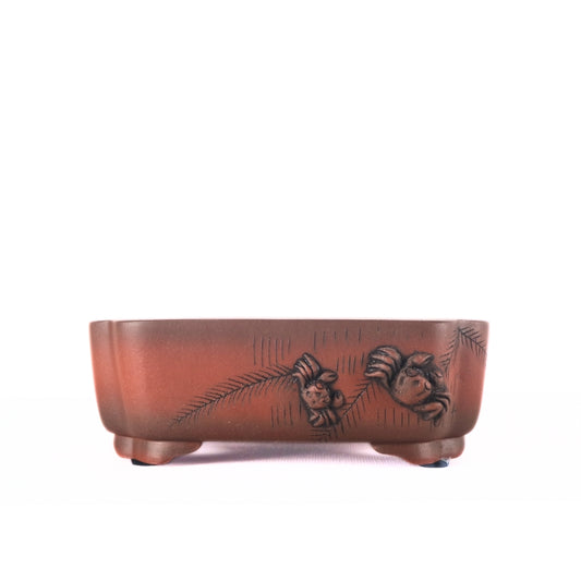 Premium Rectangle Bonsai Pot