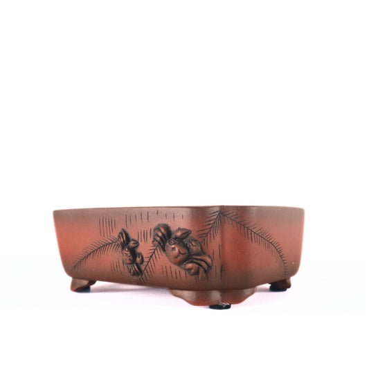 Premium Rectangle Bonsai Pot