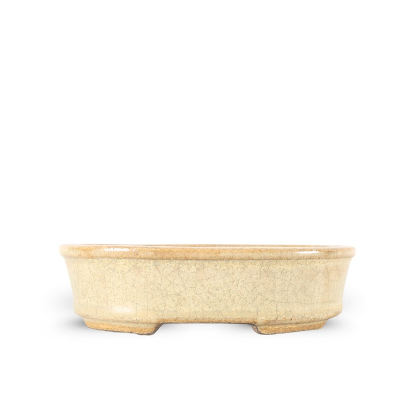 Premium Oval Bonsai Pot
