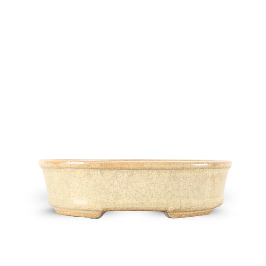 Premium Oval Bonsai Pot