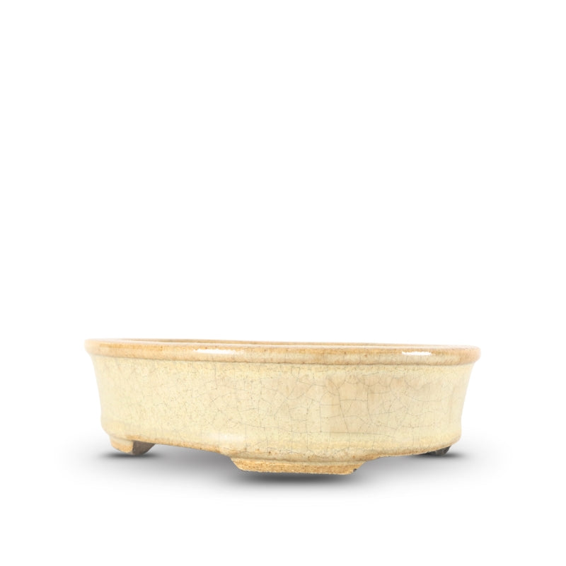 Premium Oval Bonsai Pot