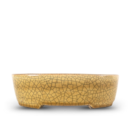 Premium Oval Bonsai Pot