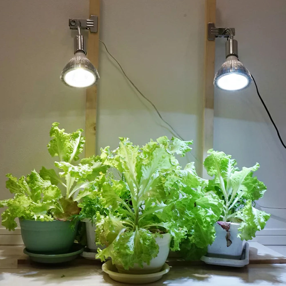 Sun Series LED Grow Light 20W with Plant Clip